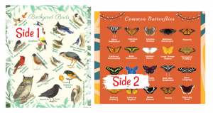 Butterfly Bird Species Blanket Learning Children Names