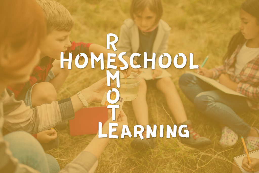 remote virtual ideas homeschooling cottage